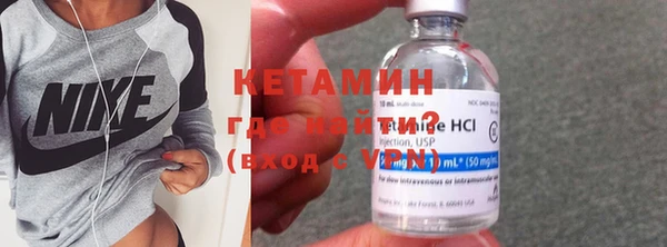 стаф Касимов