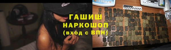 стаф Касимов