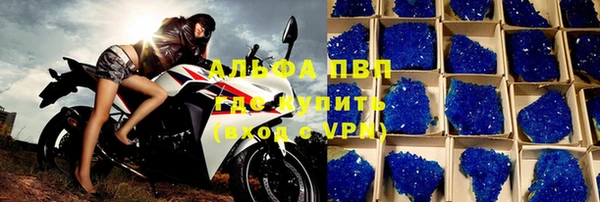 стаф Касимов