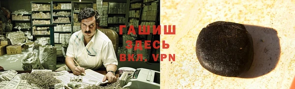 стаф Касимов