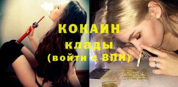 стаф Касимов