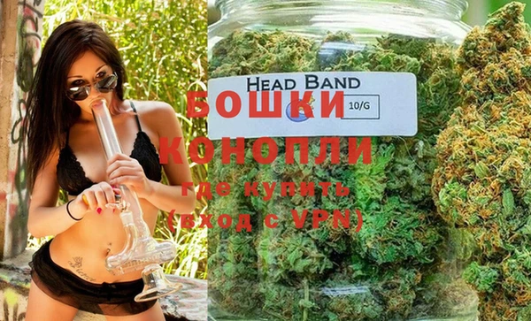 стаф Касимов