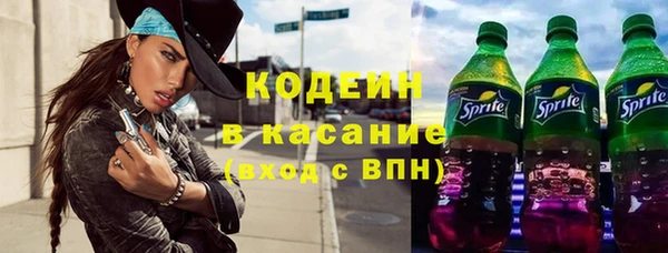 стаф Касимов