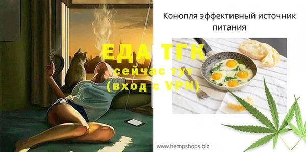 стаф Касимов