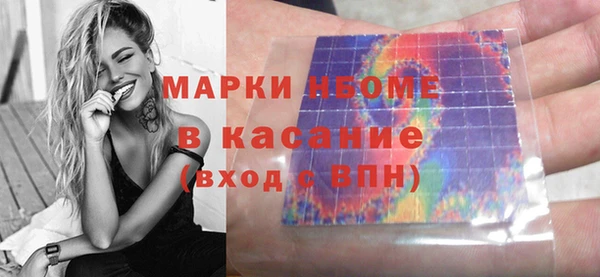 стаф Касимов