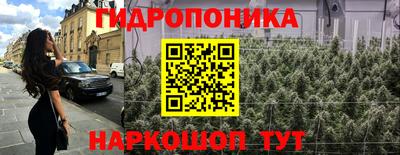 индика Абинск