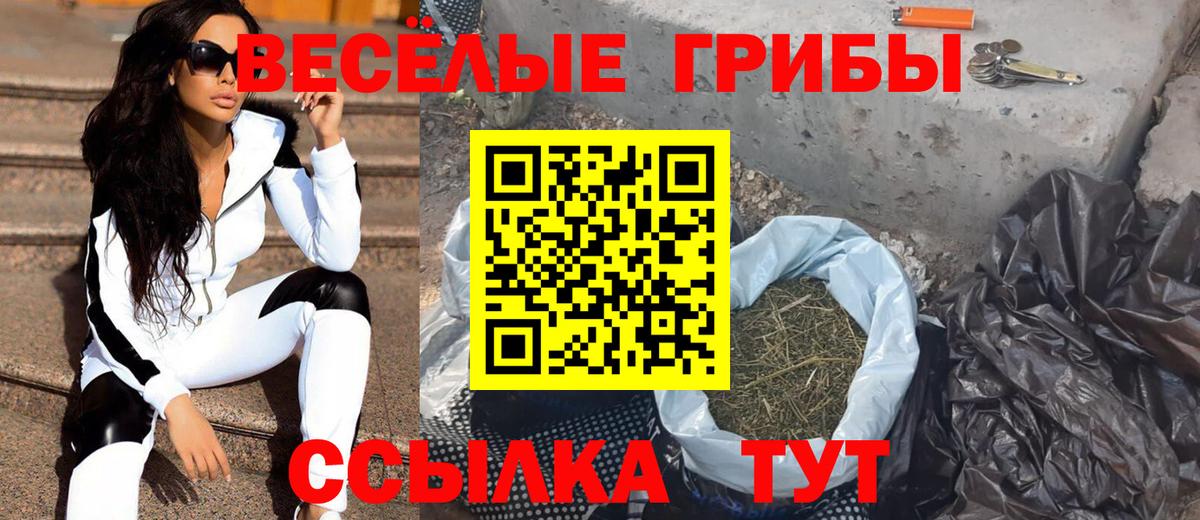 закладка  Вход с VPN  Кызыл  Галлюциногенные грибы Psilocybine cubensis 